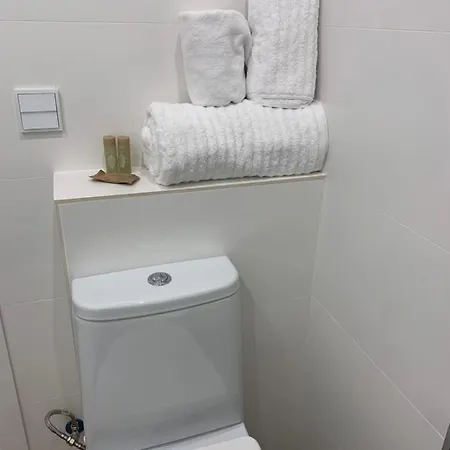 Espectacular Atico En Pleno De Centro De Apartment *