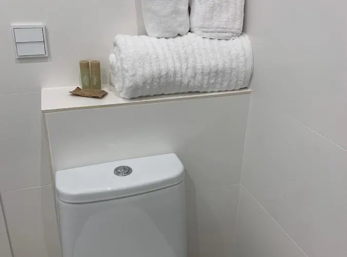 Espectacular Atico En Pleno De Centro De Apartmán *